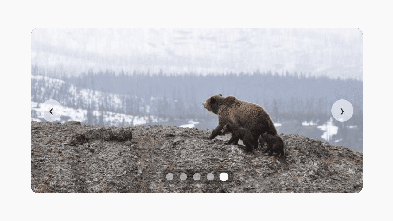 A reusable image carousel component that allows users to navigate through a collection of images with smooth transitions and intuitive controls.