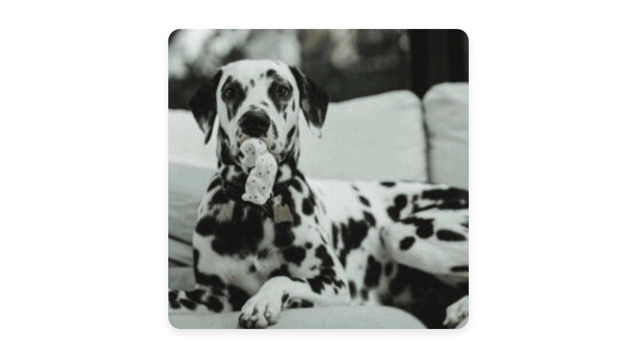 Create a smooth image zoom effect that enhances user engagement. ✨